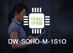 Denwa DW-SOHO-M-1S1O